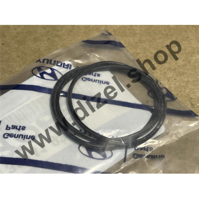 Кольцо уплотнительное между ТНВД и блоком цилиндров Hyundai HD120 D6BR